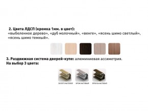 Шкаф-купе Акцент-Сим Д 1200-600 шимо тёмный в Салехарде - salekhard.magazinmebel.ru | фото - изображение 3