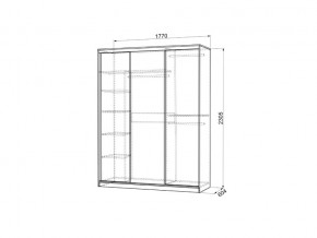 Шкаф-купе Бассо 7-600 49 венге в Салехарде - salekhard.magazinmebel.ru | фото - изображение 3